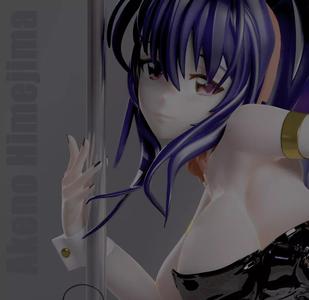 Akeno Himejima Bunny Ver