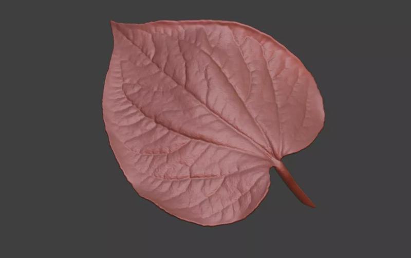 Leaf sculptures exquisite leaf detailed  leaf carvings