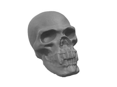 Vampire Skull