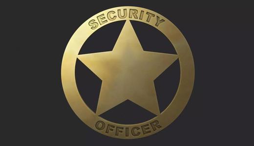 Security Officer Badge