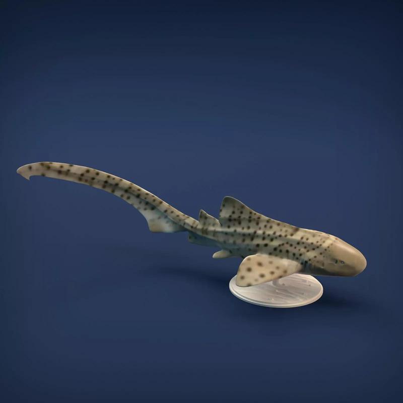 Zebra Shark for 3D printing