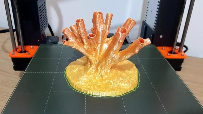 Fastigiata Hornbeam - Real Tree 3D Scan - Kew Gardens Collection