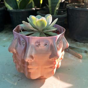 PolyFace Planter