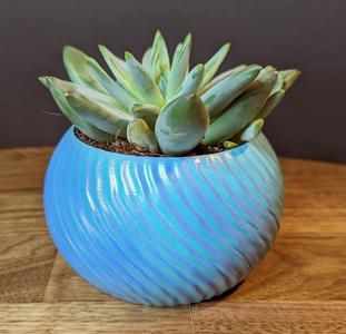 Wavy Plant Pot