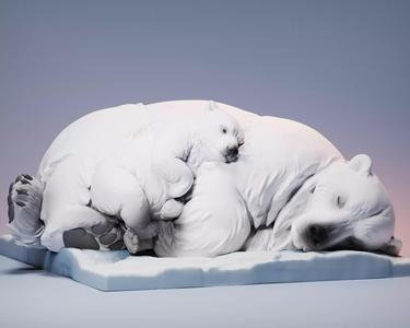 Polar bear
