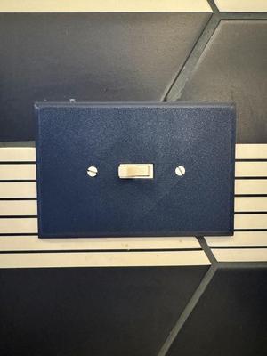 Wally Custom Toggle (Switch) Plate - Jumbo Plus