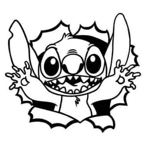 silhouette stich.