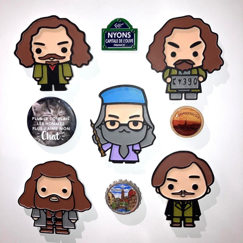 5 Harry Potter Magnets #5