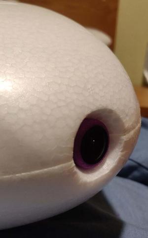 2.5mm lens fx 79 nose fit