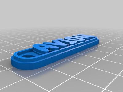 AVION Keychain