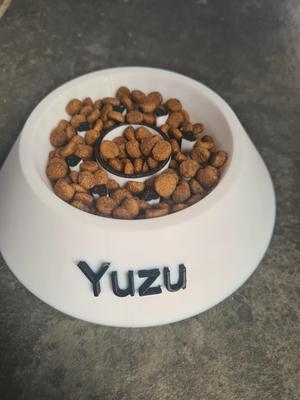 🐾 Anti-Button Cat Bowl 🐱🍽️