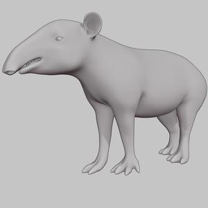 Tapir