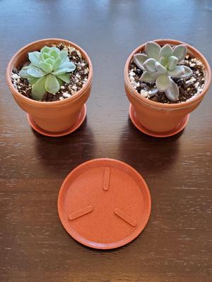 Planter Pot Saucer/Coaster/Tray - Easily Scalable and Water-Proof