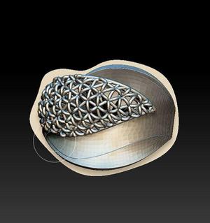 ring 3d
