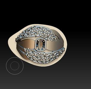 ring 3d