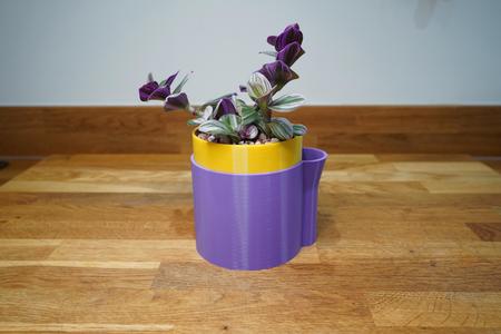 Self Watering Planter