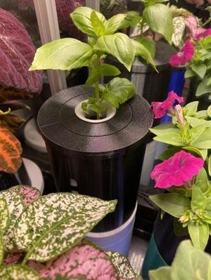 Kratky Pot and 1 Hole Lid for Aerogarden Pods