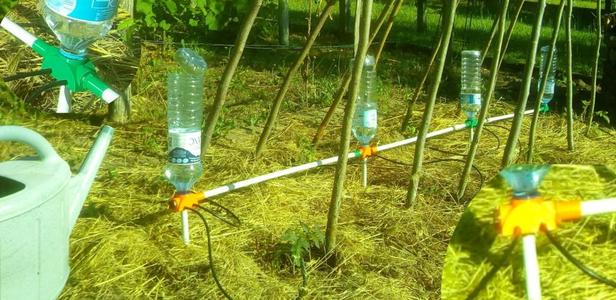 Chainable drip irrigation system for water bottle