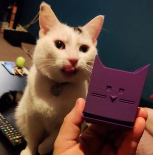 Cat planter