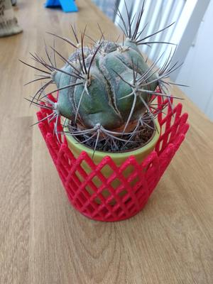 Decorative Flower Pot