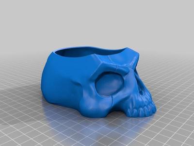Treat Skull