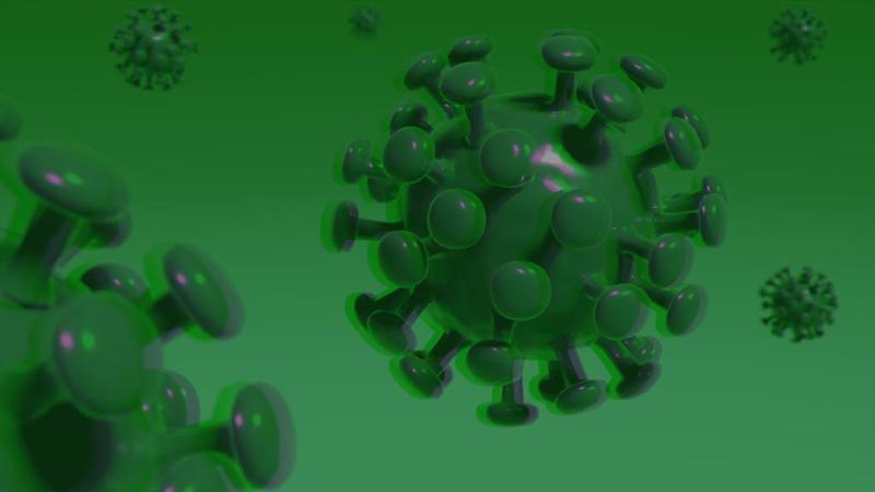 (Corona)-Virus