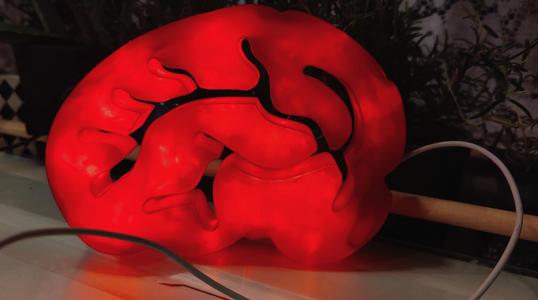 Brain to go with leds