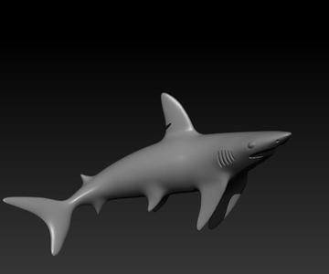 shark, shark STL file