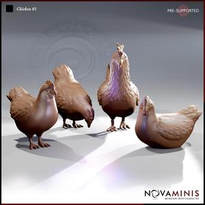 Chicken 01