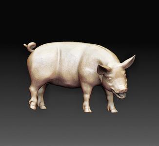 Piggy Pig