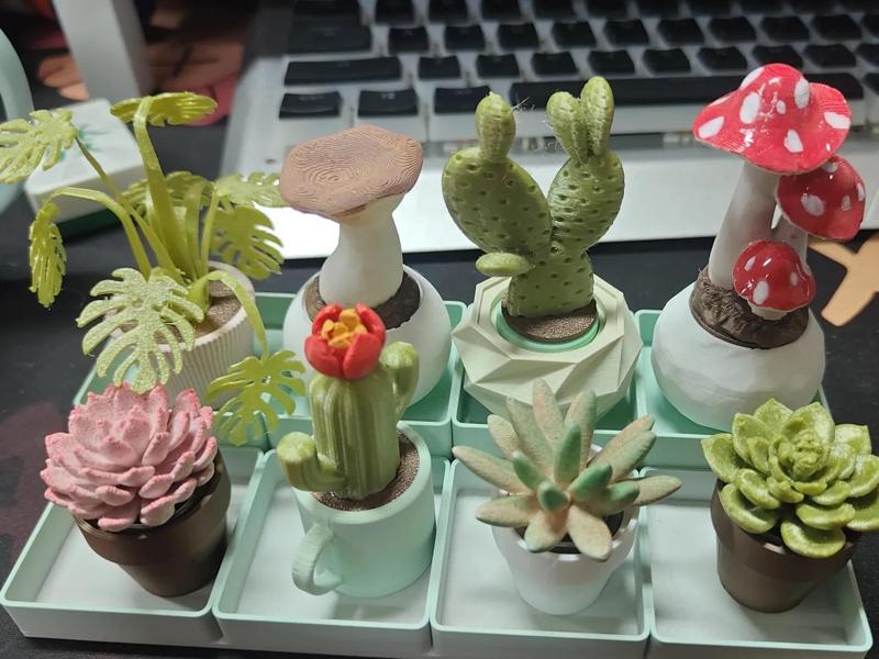 [Lucas Creations] Everlasting Bonsai Series 1 - Succulent Bonsai