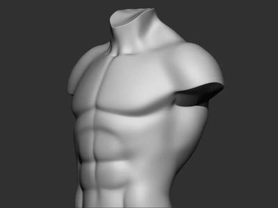 male torso 3d print model