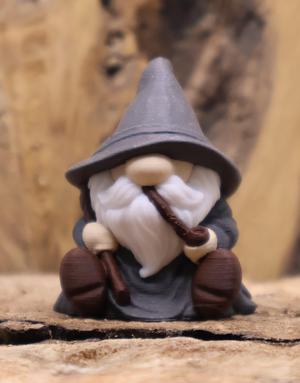 Wizard Gonk