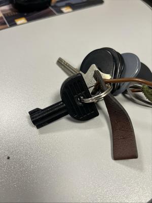 Switch cabinet key