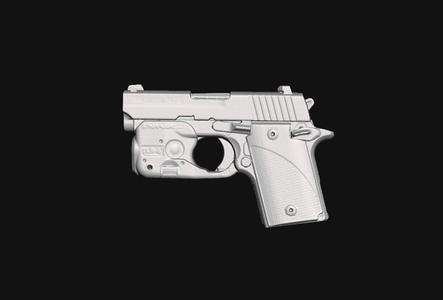Sig Sauer P938 Streamlight TLR6 Real Size Scan 3D Gun Mold