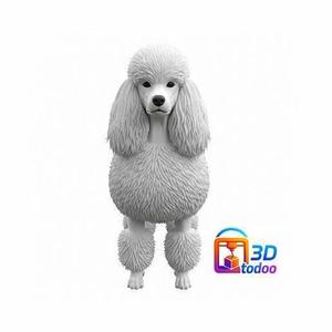 CANICHE ROYAL Royal poodle