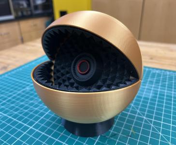 The Puck - Secret Level