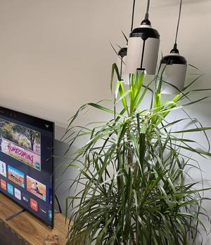 Sci Fi Hanging Lights