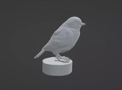 Bird statue