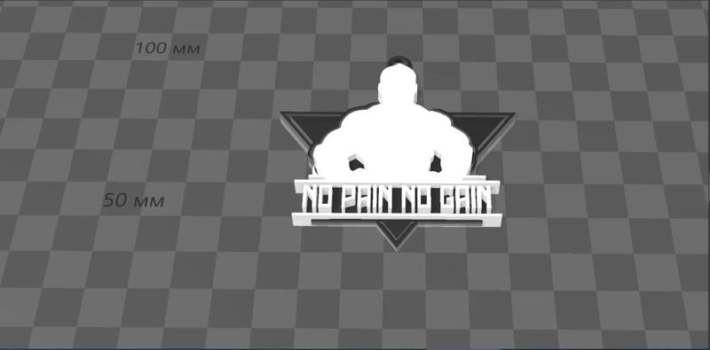 Keychain gym No pain No gain