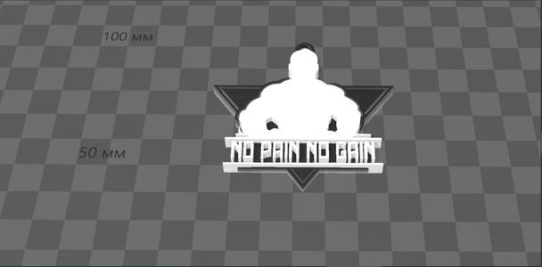 Keychain gym No pain No gain