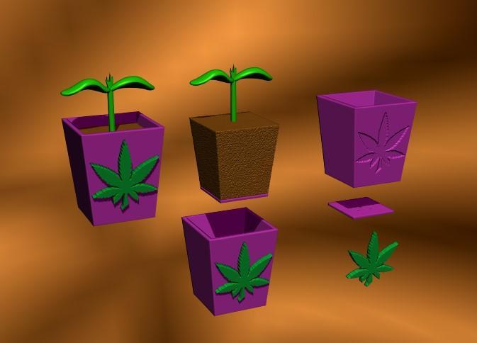 pot mini pot marijuana seedlings seedbed cuttings