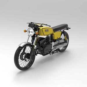 Yamaha  RX 100 model