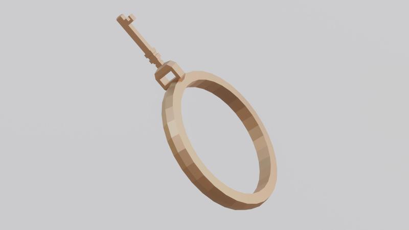 key and lock rings