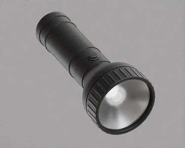 Flash light 3d model