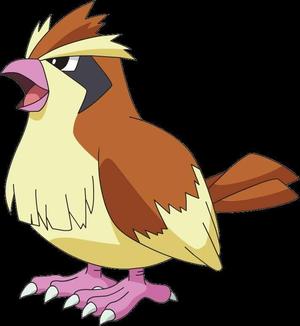 PIDGEY