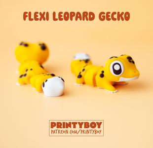 Printyboy - Leopard Gecko