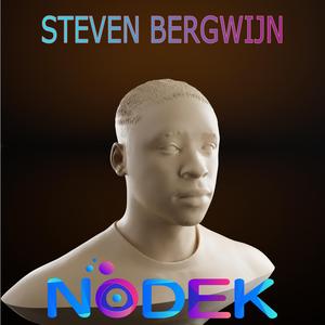 Steven Bergwijn Bust