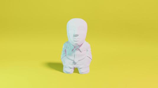 the Consultant
