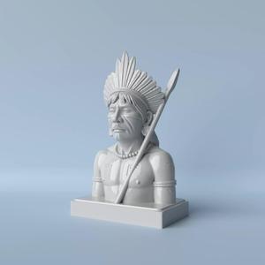 Noble Ancestor Elegant Indigenous Bust